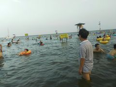 -碧海金沙