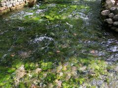 -水磨沟公园