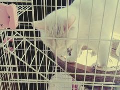 -熊猫邮局(少城店)