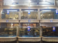 水产区-客家汇·客家传承菜(水库店)