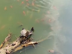 -报恩禅寺