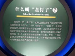 -金钉子远古世界景区