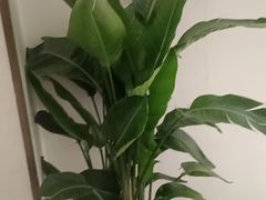 -紫腾大院·南京菜(江宁店)