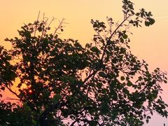 -鬼笑石后山停车场