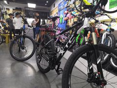 -GIANT捷安特自行车专卖店(金桥台儿庄路店)