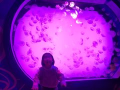 -沈阳海洋探索中心