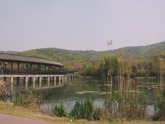 -石塘人家