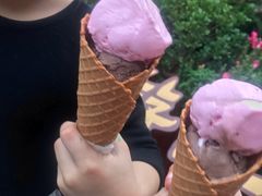 -成裕雪糕店(士多店)
