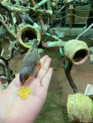 -Zoolung Zoolung动物主题公园(海信广场店)