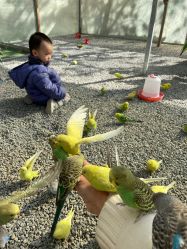 -萌宠亲子动物乐园(槐房万达店)