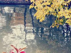 -南通濠河风景名胜区