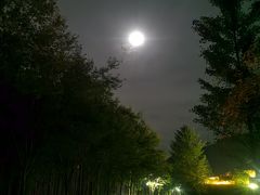 -看见远方·莫干遥远的山民宿