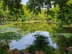 -灵谷景区