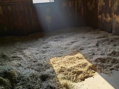 -上林马术中央公园·户外露营·团建·骑乘