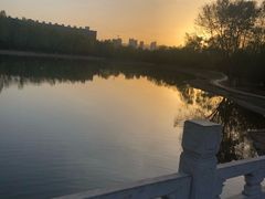 -森林公园(尖草坪区)