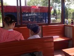 -永定河休闲森林公园