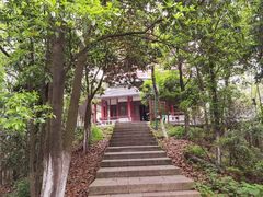 -云碧峰国家森林公园