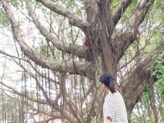 -南沙蒲洲花园