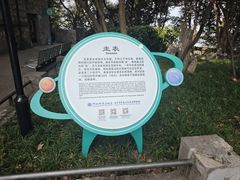 -紫金山天文台