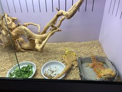 -昆明大悦城未来动物城(螺蛳湾中心店)