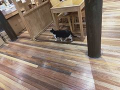 -猫的天空之城概念书店(杭州南宋御街店)