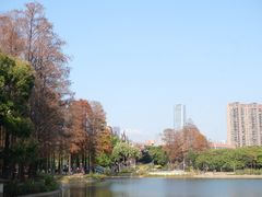 -四海公园(南山区)