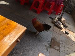 -鱼乐岛餐厅·户外花园主题餐厅