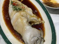 清蒸狮麟鳐鱼-金狮麟·新豫菜(金码大厦店)