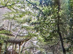 -藏龙百瀑风景区
