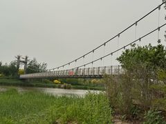 -西青郊野公园