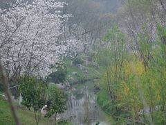 -羊山湖公园