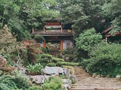 -中国茶叶博物馆(双峰馆区)