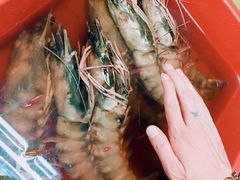 -ZF Seafood Restaurant 卓峰海鲜餐