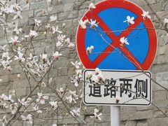 -东华门大街小区