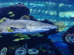 -成都浩海立方海洋公园