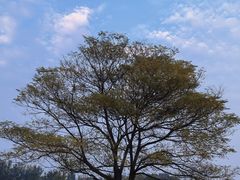 -汉长安城未央宫国家考古遗址公园