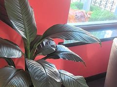 -正德楼果木烤鸭·渔家菜(东港店)