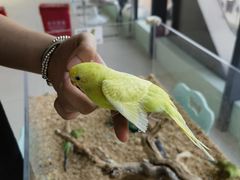 -怪兽屋·羊驼·猫咖·狗咖(俊华广场店)