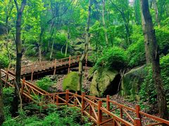 -大岭沟猕猴桃谷风景区