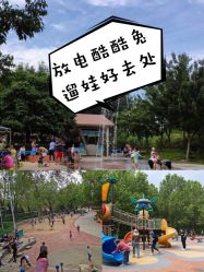 -酷酷兔少儿拓展天地