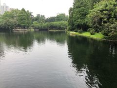 -晓港公园