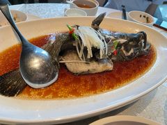 清蒸桂花鱼-桃花源中餐厅(金茂豪华精选酒店)