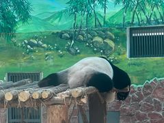 -黔灵山公园