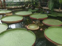 -国家植物园南园