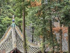 -成都动物园