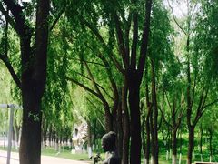 -长春世界雕塑园冰雪艺术天地