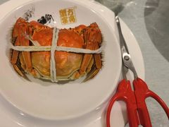 -新光酒家·河豚·海鲜·蟹料理(浦东店)