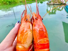 -徐岛主·特色农家乐(阳澄湖莲花岛店)