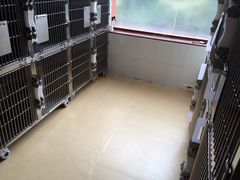 -创凡宠物医院·骨专科  猫科中心(西乡分院)