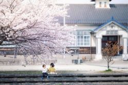 -倾城宝贝儿童摄影(浦东金谊店)